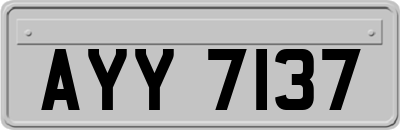 AYY7137