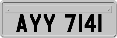 AYY7141
