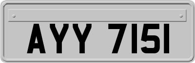 AYY7151