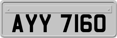 AYY7160