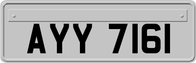 AYY7161