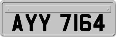 AYY7164