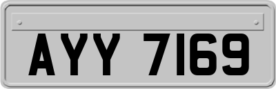 AYY7169
