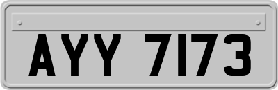 AYY7173