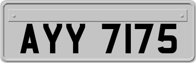AYY7175