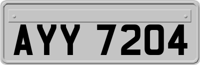 AYY7204