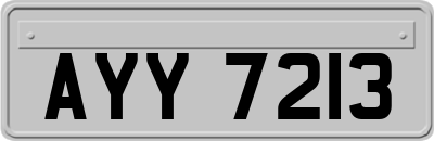 AYY7213