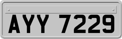 AYY7229