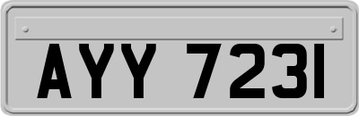 AYY7231