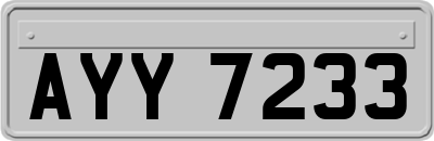 AYY7233