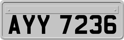 AYY7236