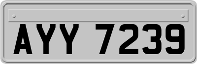 AYY7239