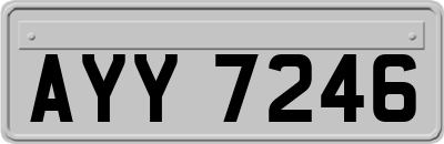 AYY7246