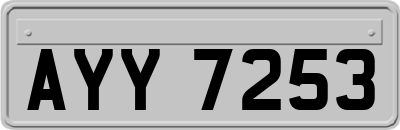 AYY7253