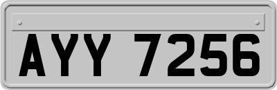 AYY7256
