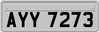 AYY7273