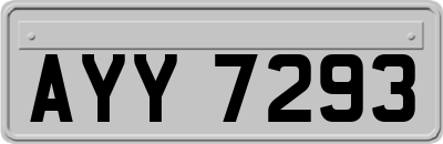 AYY7293