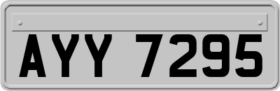 AYY7295