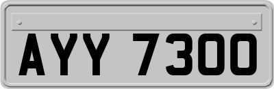 AYY7300