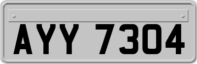AYY7304