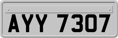 AYY7307