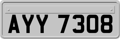AYY7308