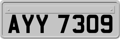 AYY7309