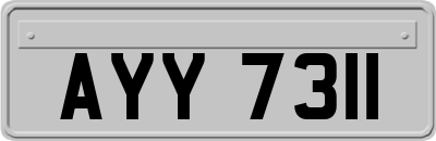 AYY7311