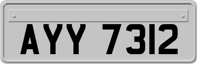 AYY7312