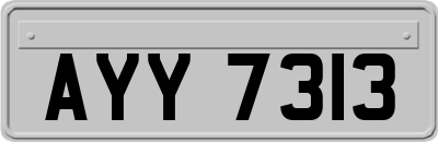 AYY7313