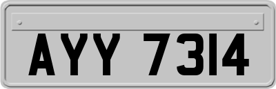 AYY7314