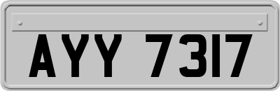 AYY7317