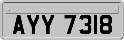 AYY7318