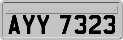 AYY7323