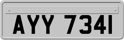 AYY7341