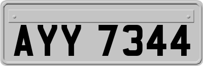 AYY7344
