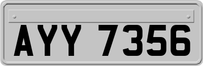 AYY7356