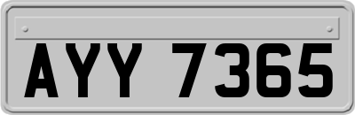 AYY7365