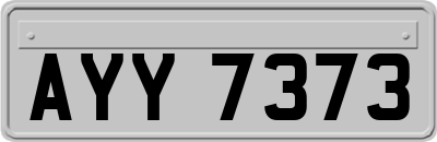 AYY7373