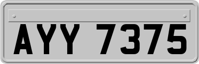 AYY7375