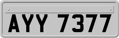 AYY7377