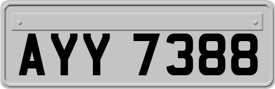 AYY7388