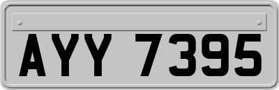 AYY7395