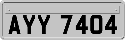 AYY7404