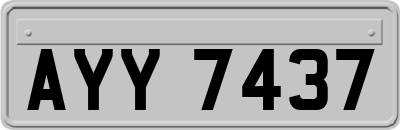 AYY7437
