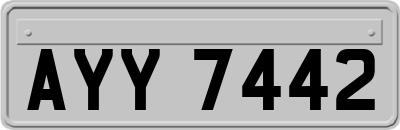 AYY7442