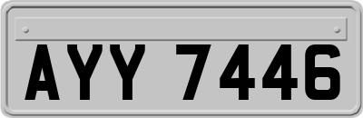 AYY7446