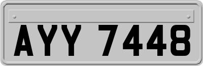 AYY7448