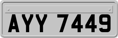 AYY7449