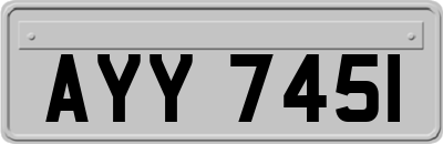 AYY7451